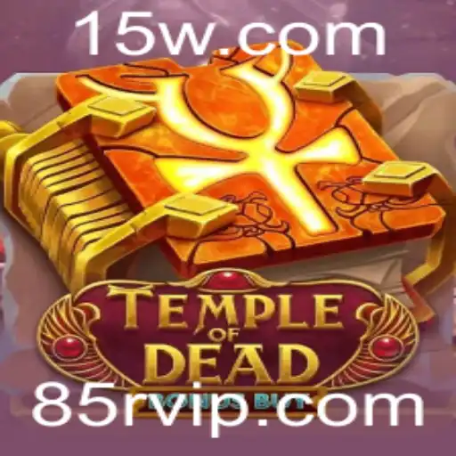 85r Casino App
